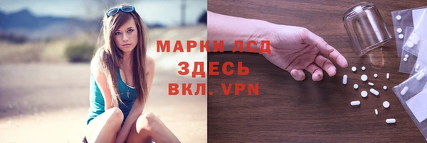 гашик Михайловск