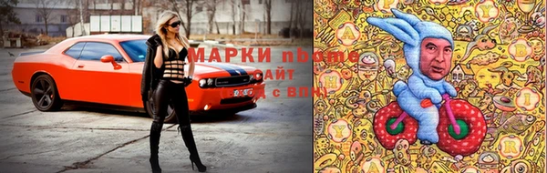 гашик Михайловск