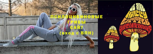 кристаллы Ельня