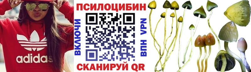 Галлюциногенные грибы Psilocybine cubensis  Барнаул 
